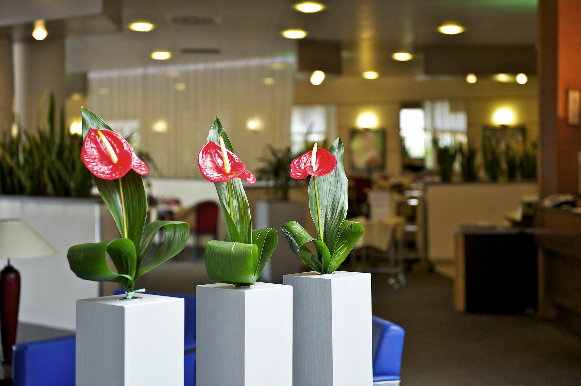 Hotel Novotel Sud Caserta